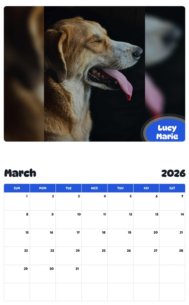 November 2025 - October 2026 Lucy Marie - Pawidols Pet Calendar