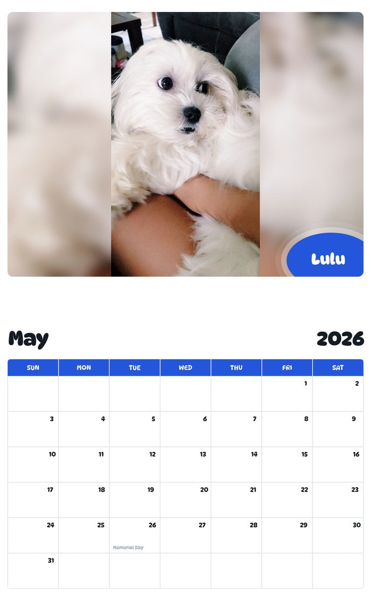 2026 - 2027 Lulu - Pawidols Pet Calendar