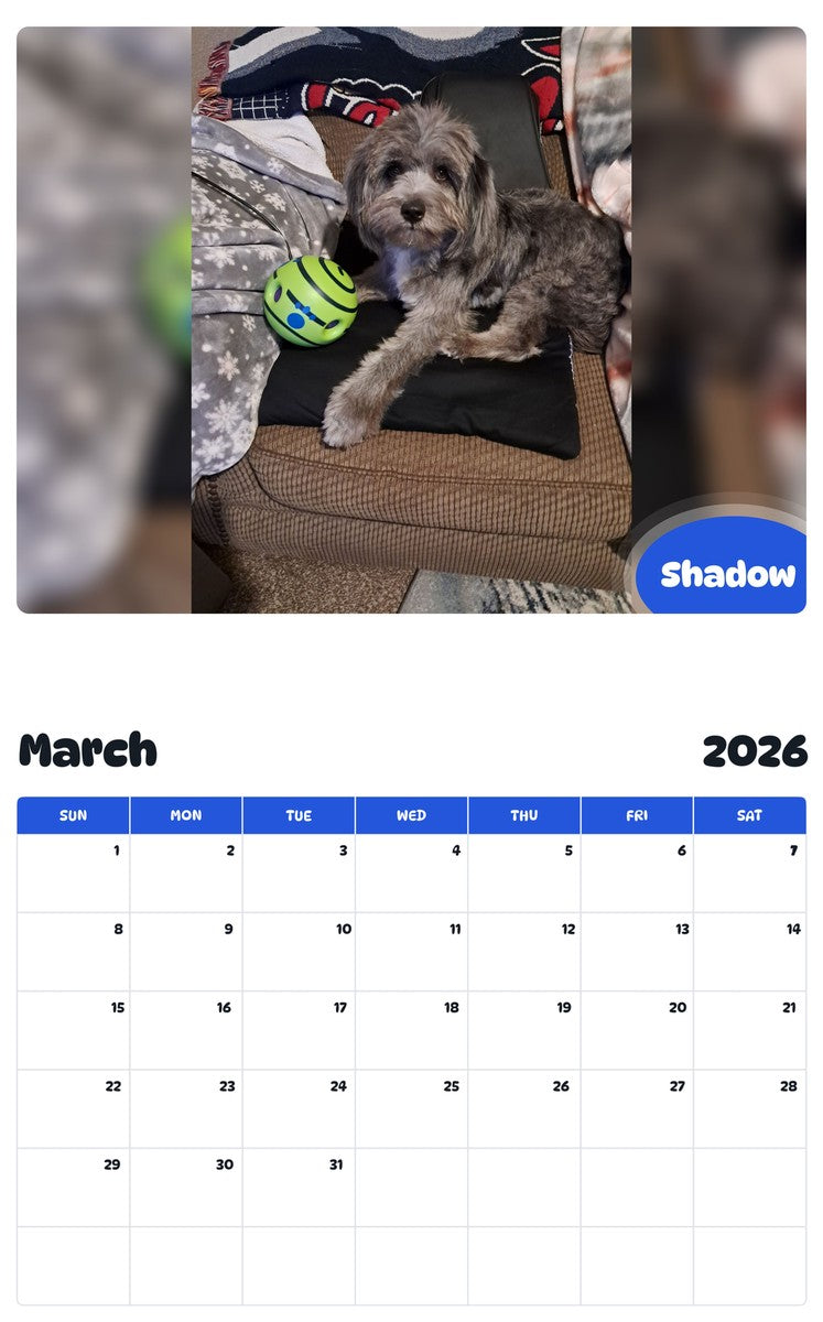 November 2025 - October 2026 Shadow - Pawidols Pet Calendar