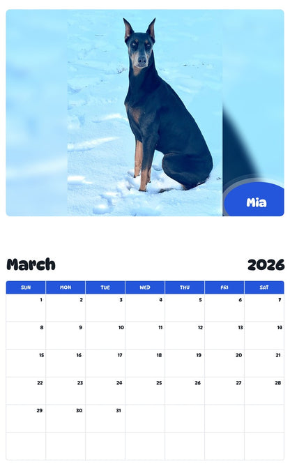 November 2025 - October 2026 Mia - Pawidols Pet Calendar