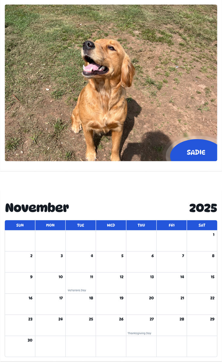 July 2025 - June 2026 Sadie - Pawidols Pet Calendar