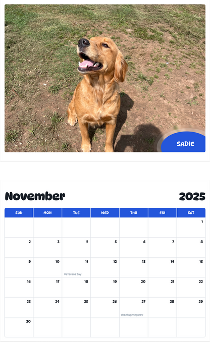 July 2025 - June 2026 Sadie - Pawidols Pet Calendar