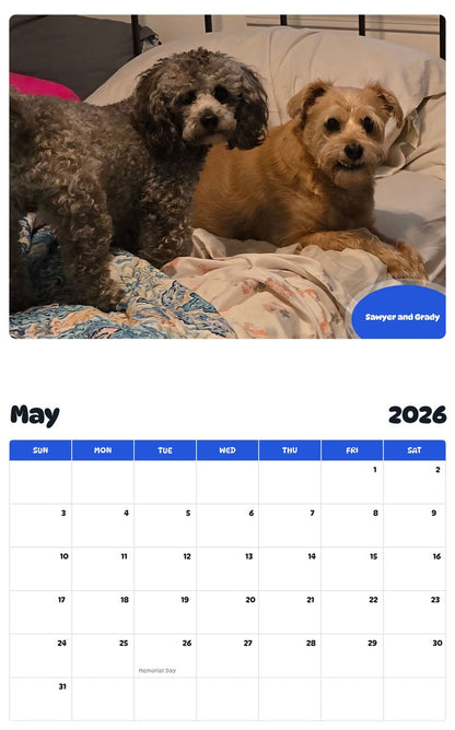 2026 - 2027 Sawyer and Grady - Pawidols Pet Calendar