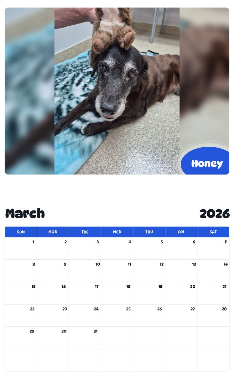 November 2025 - October 2026 Honey - Pawidols Pet Calendar