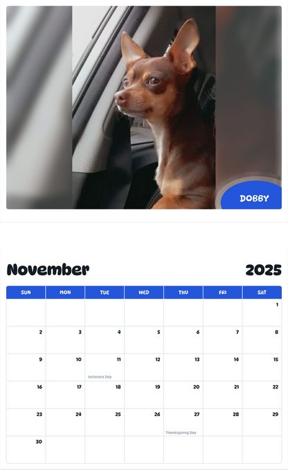 July 2025 - June 2026 Dobby - Pawidols Pet Calendar