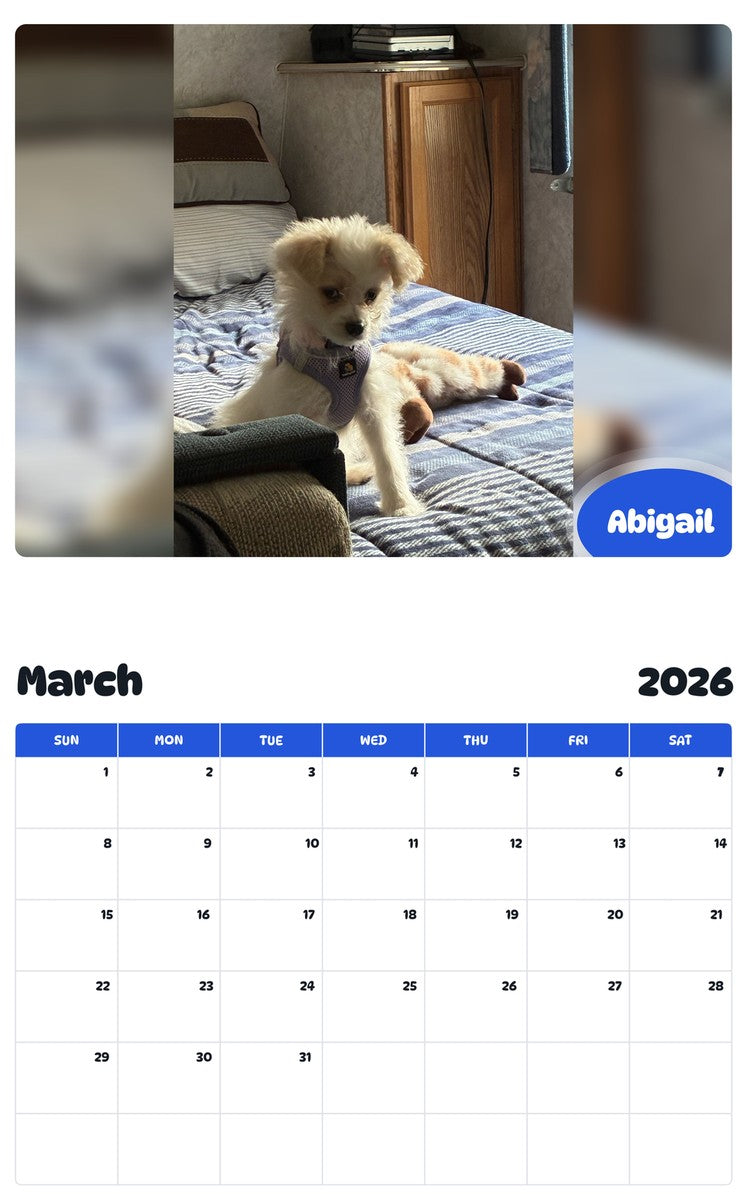 November 2025 - October 2026 Abigail - Pawidols Pet Calendar