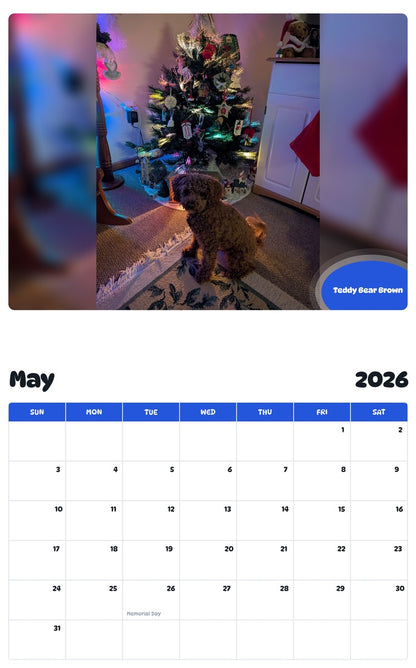 2026 - 2027 Teddy Bear Brown - Pawidols Pet Calendar