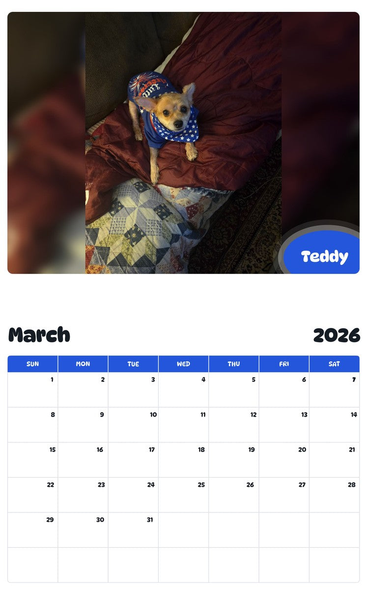 November 2025 - October 2026 Teddy - Pawidols Pet Calendar