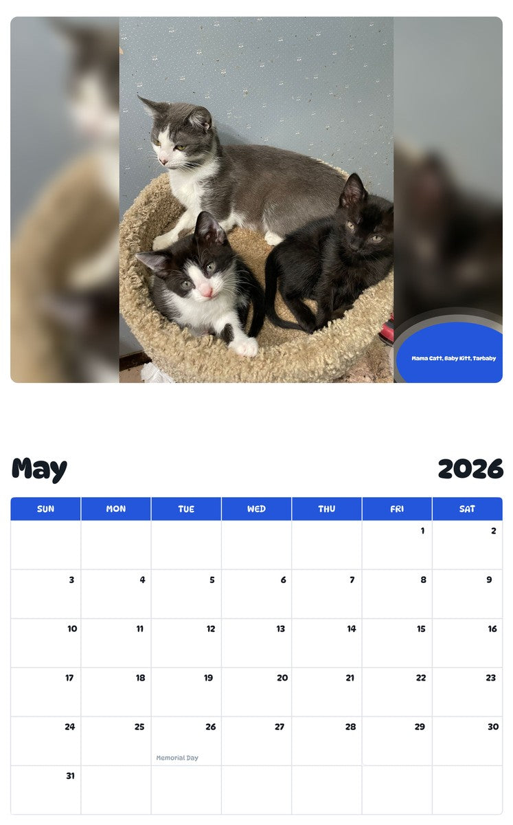 2026 - 2027 Mama Catt, Baby Kitt, Tarbaby - Pawidols Pet Calendar