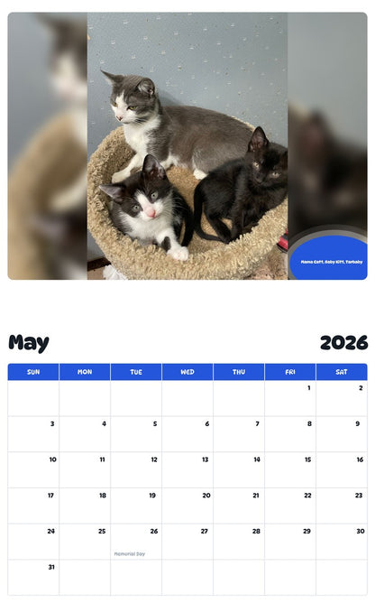 2026 - 2027 Mama Catt, Baby Kitt, Tarbaby - Pawidols Pet Calendar