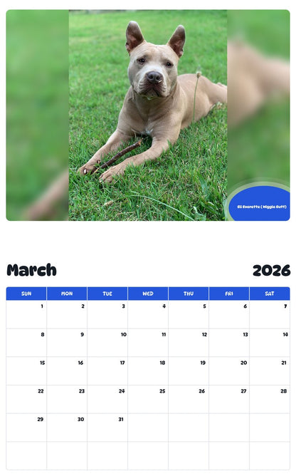 November 2025 - October 2026 Eli Everette ( Wiggle Butt) - Pawidols Pet Calendar