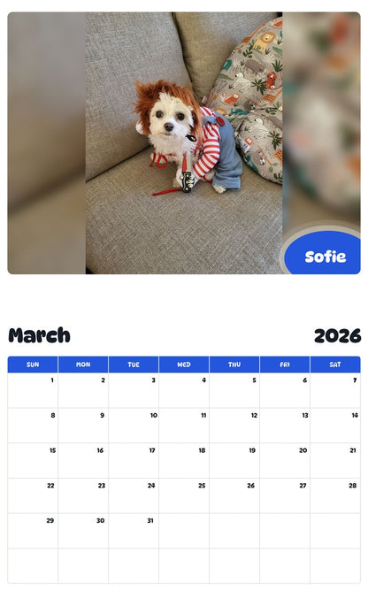 November 2025 - October 2026 Sofie - Pawidols Pet Calendar
