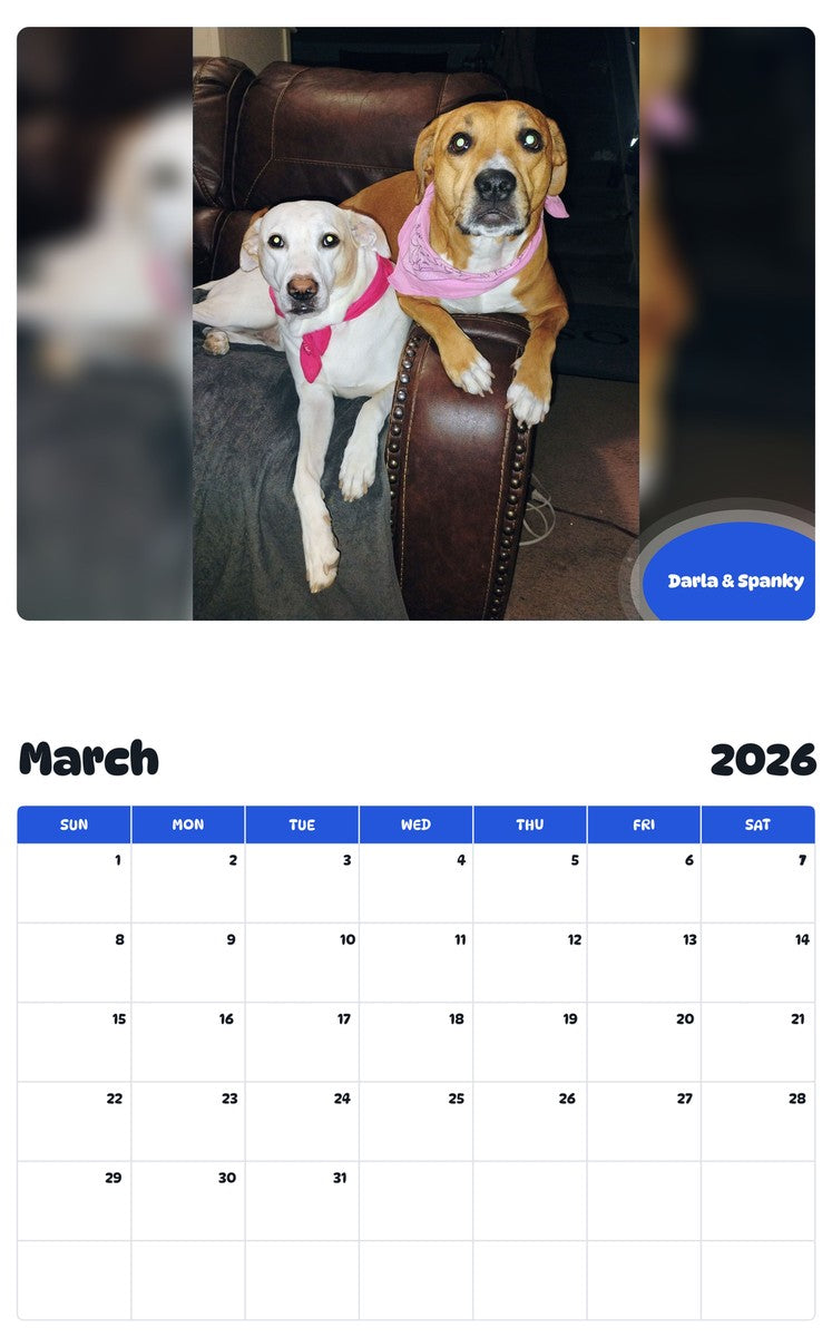 November 2025 - October 2026 Darla & Spanky - Pawidols Pet Calendar