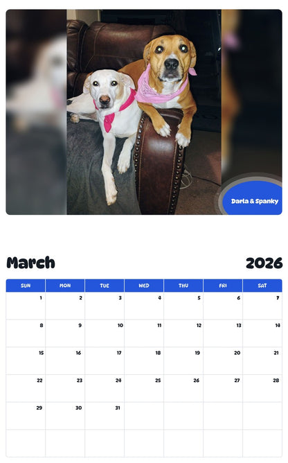 November 2025 - October 2026 Darla & Spanky - Pawidols Pet Calendar