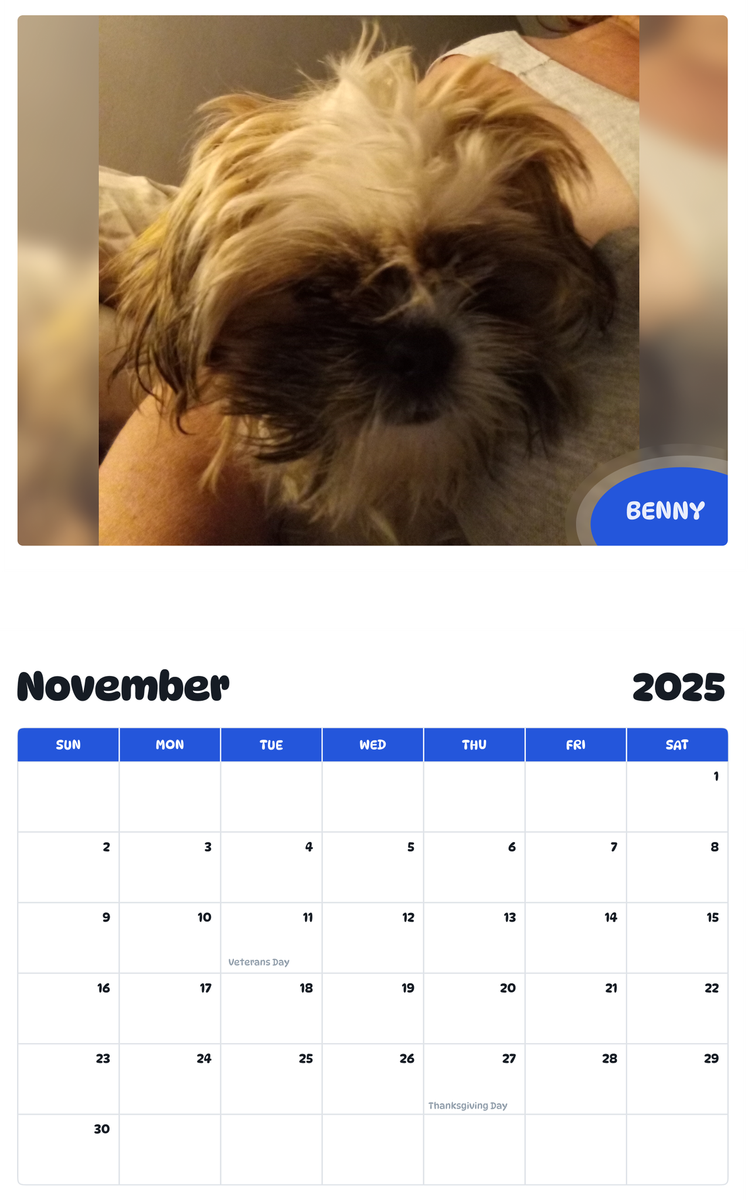 July 2025 - June 2026 Benny - Pawidols Pet Calendar
