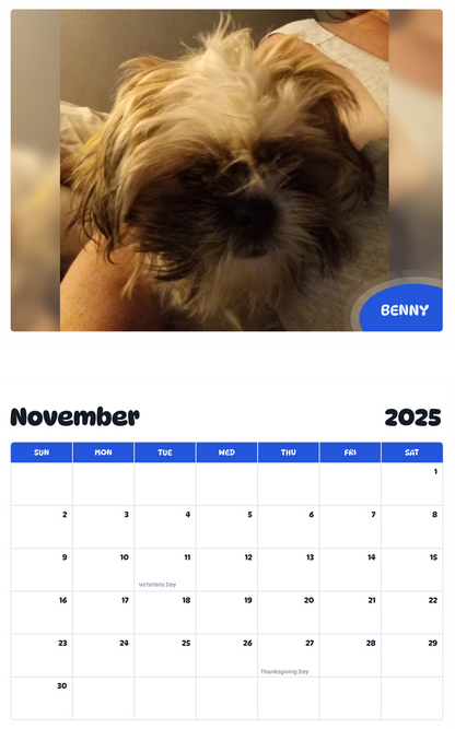 July 2025 - June 2026 Benny - Pawidols Pet Calendar