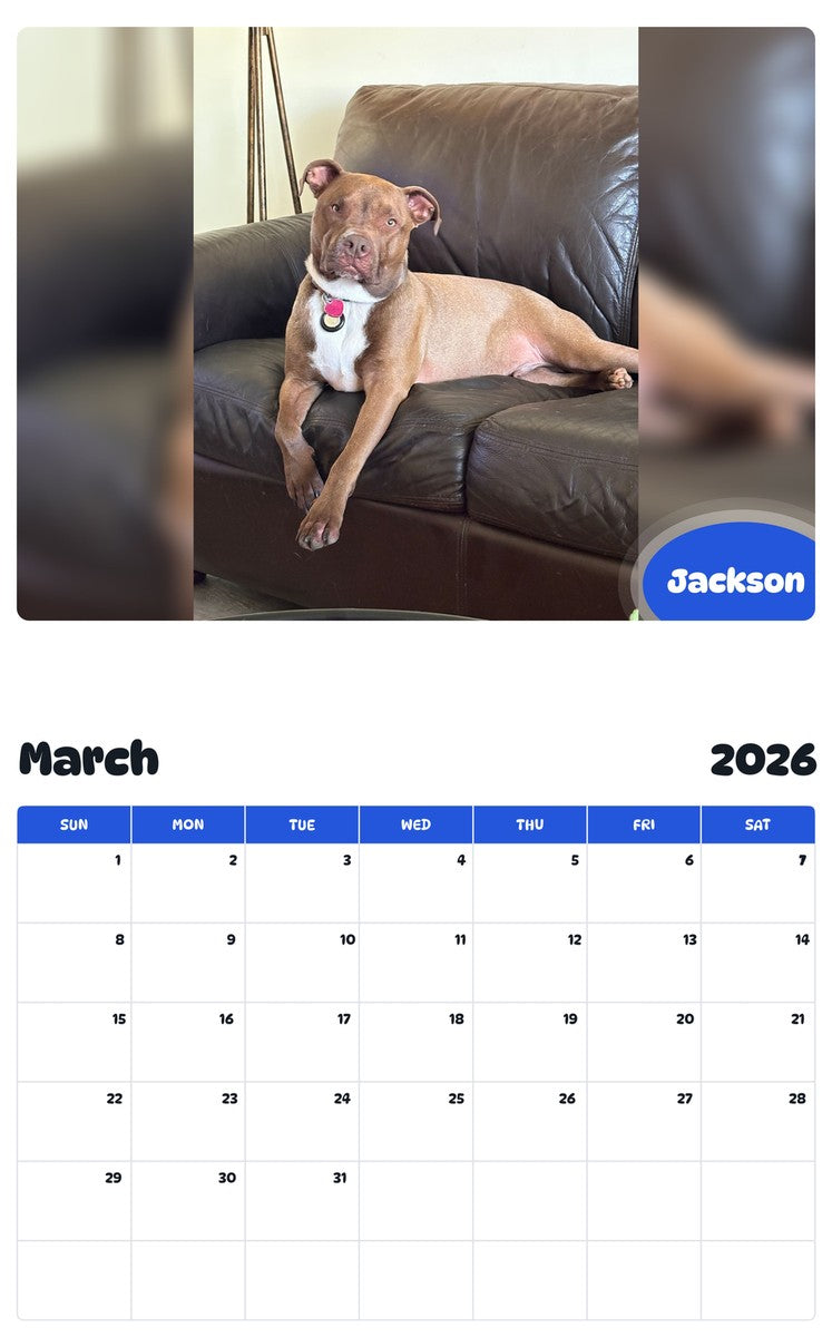 November 2025 - October 2026 Jackson - Pawidols Pet Calendar