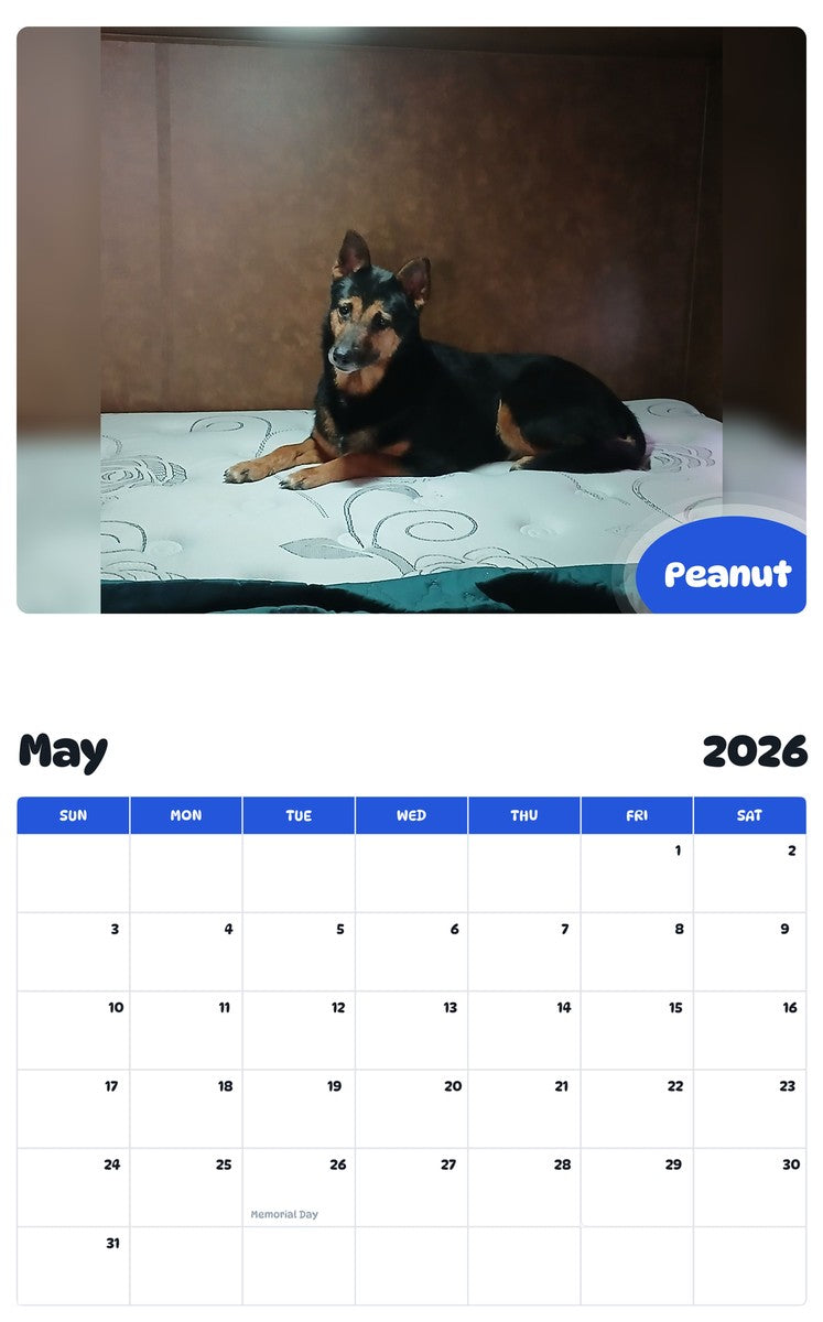 2026 - 2027 Peanut - Pawidols Pet Calendar