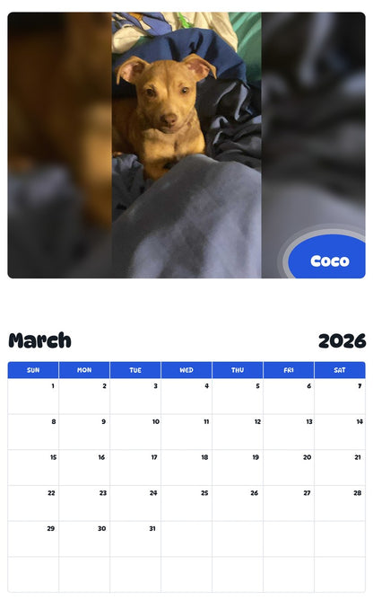 November 2025 - October 2026 Coco - Pawidols Pet Calendar