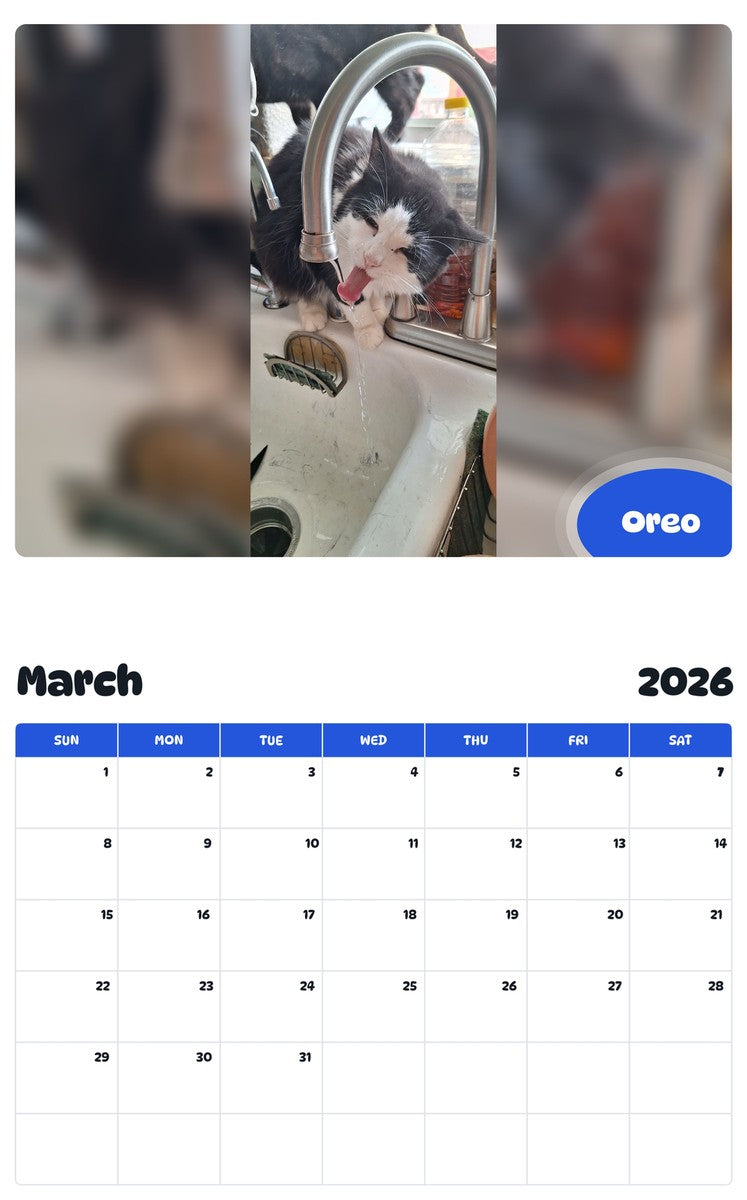 November 2025 - October 2026 Oreo - Pawidols Pet Calendar