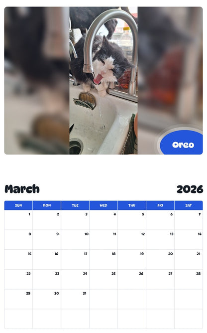 November 2025 - October 2026 Oreo - Pawidols Pet Calendar