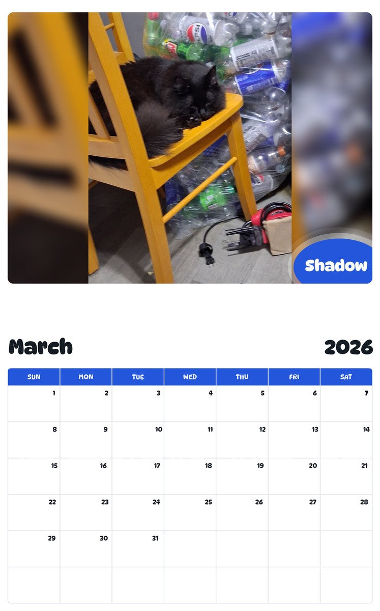 November 2025 - October 2026 Shadow - Pawidols Pet Calendar