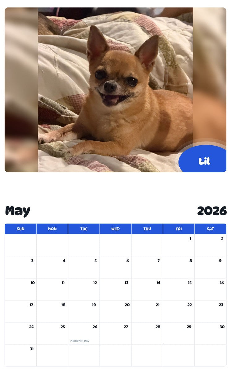 2026 - 2027 Lil - Pawidols Pet Calendar