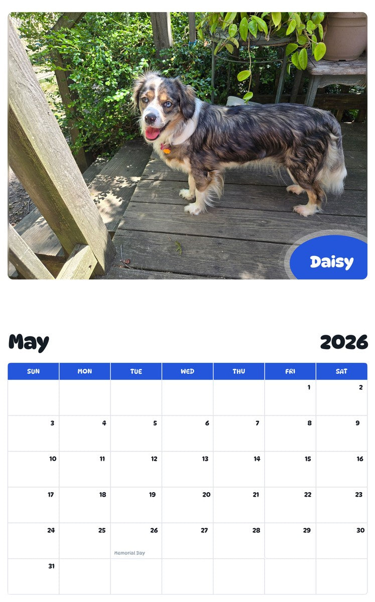 2026 - 2027 Daisy - Pawidols Pet Calendar