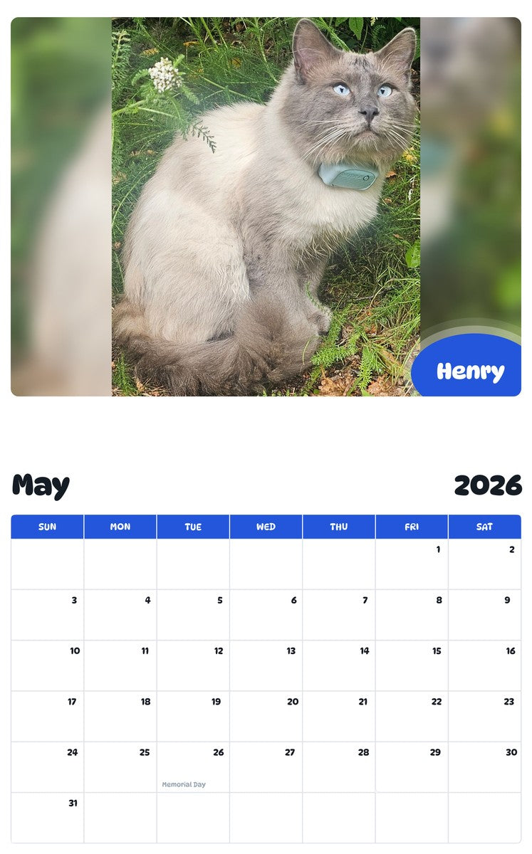 2026 - 2027 Henry - Pawidols Pet Calendar