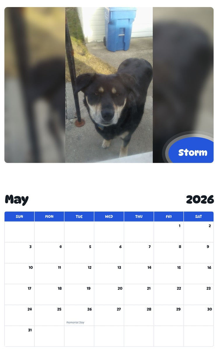 2026 - 2027 Storm - Pawidols Pet Calendar