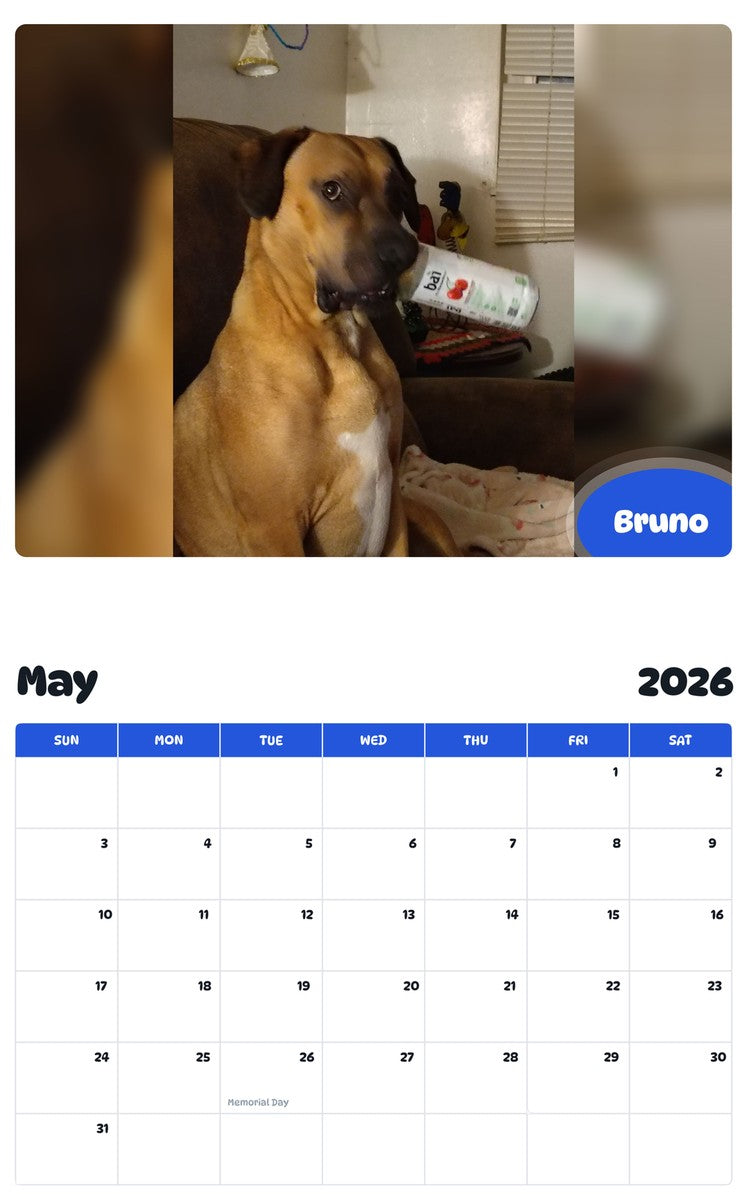 2026 - 2027 Bruno - Pawidols Pet Calendar