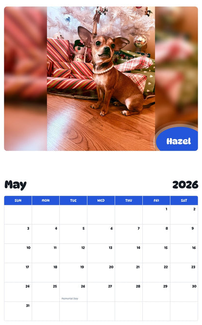 2026 - 2027 Hazel - Pawidols Pet Calendar