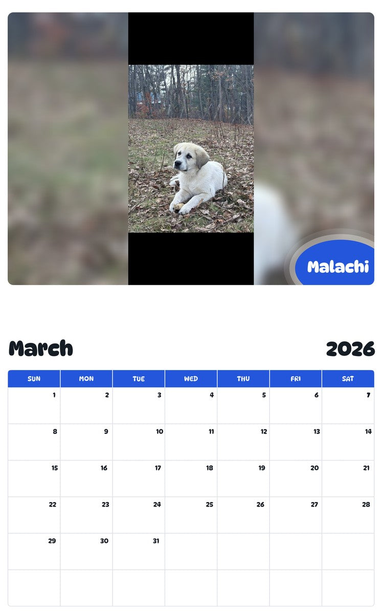 November 2025 - October 2026 Malachi - Pawidols Pet Calendar
