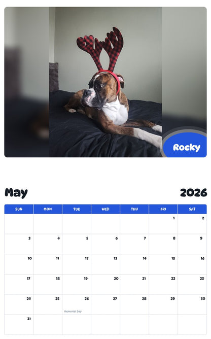 2026 - 2027 Rocky - Pawidols Pet Calendar
