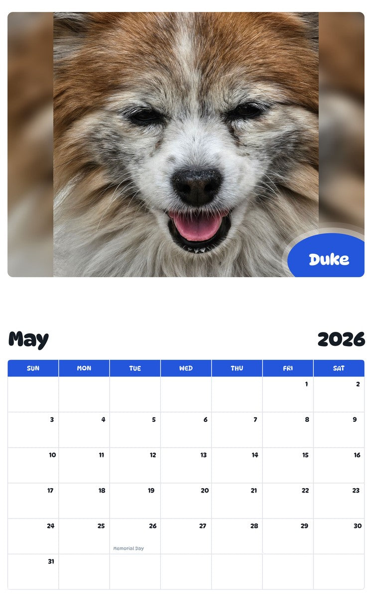 2026 - 2027 Duke - Pawidols Pet Calendar