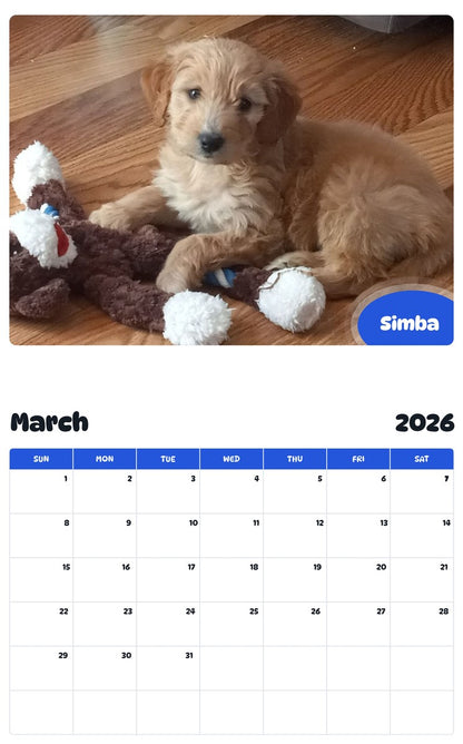 November 2025 - October 2026 Simba - Pawidols Pet Calendar
