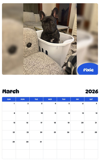 November 2025 - October 2026 Pixie - Pawidols Pet Calendar