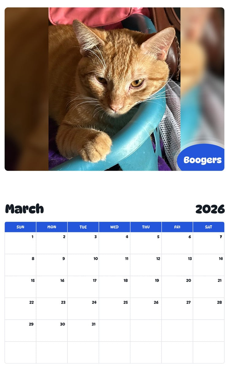 November 2025 - October 2026 Boogers - Pawidols Pet Calendar