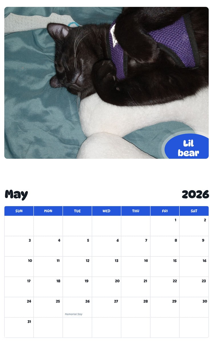 2026 - 2027 Lil bear - Pawidols Pet Calendar
