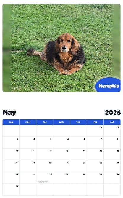 2026 - 2027 Memphis - Pawidols Pet Calendar