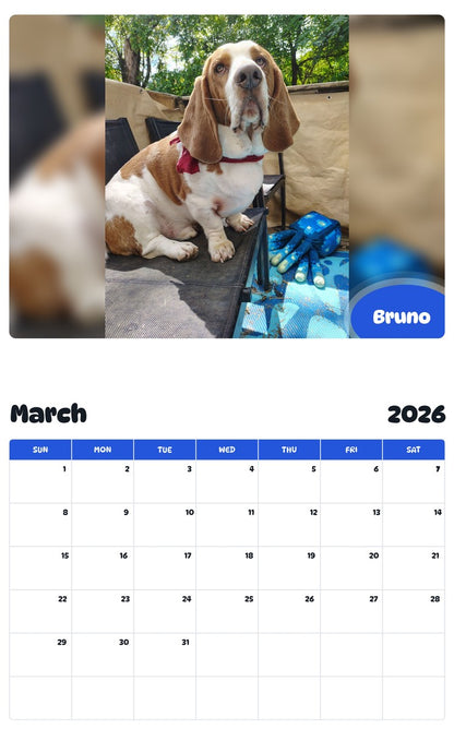 November 2025 - October 2026 Bruno - Pawidols Pet Calendar