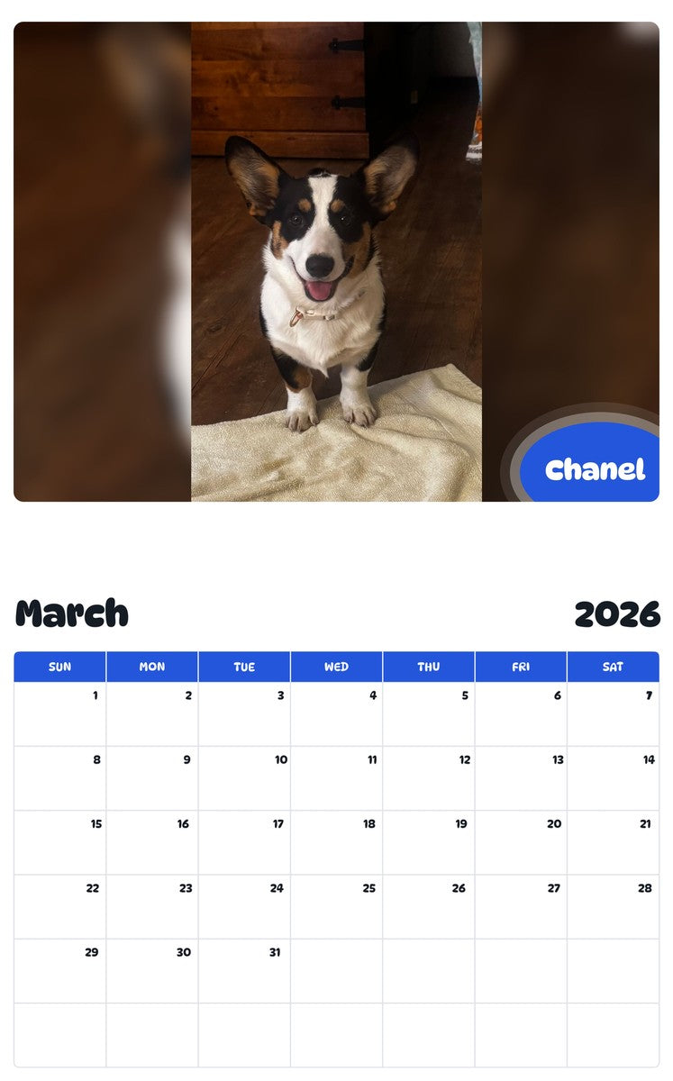 November 2025 - October 2026 Chanel - Pawidols Pet Calendar