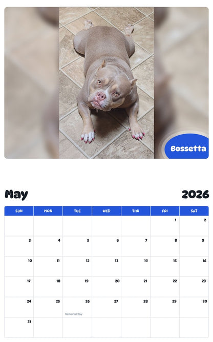 2026 - 2027 Bossetta - Pawidols Pet Calendar