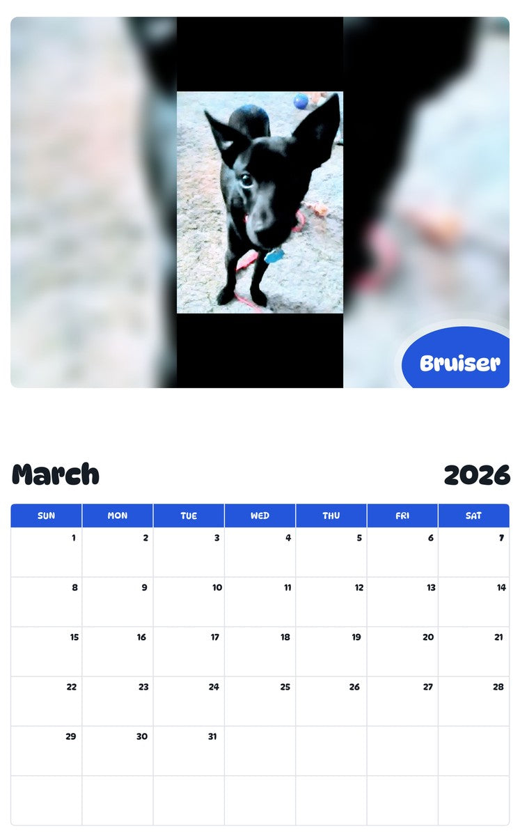 November 2025 - October 2026 Bruiser - Pawidols Pet Calendar