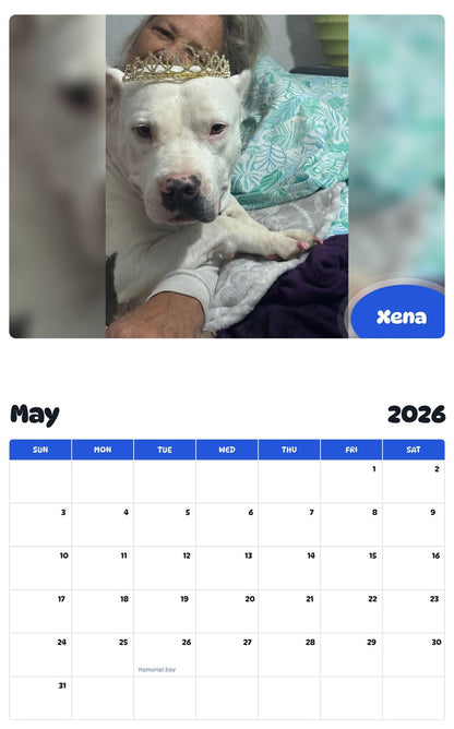 2026 - 2027 Xena - Pawidols Pet Calendar