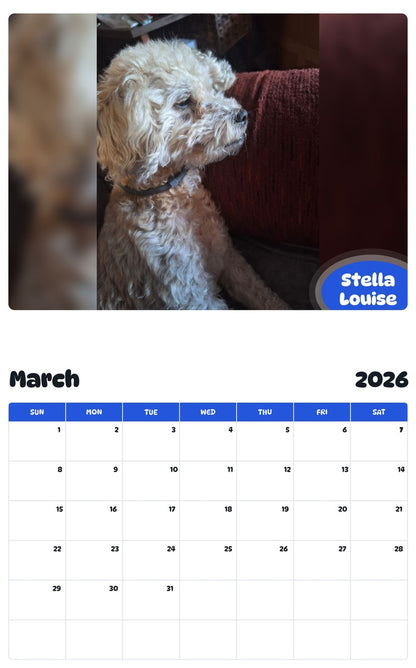 November 2025 - October 2026 Stella Louise - Pawidols Pet Calendar
