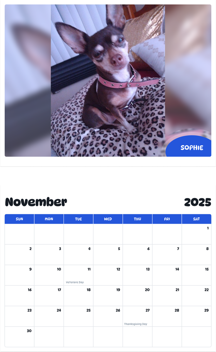 July 2025 - June 2026 Sophie - Pawidols Pet Calendar