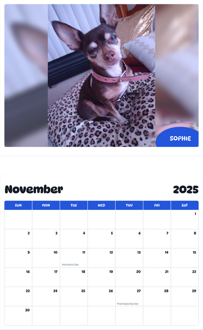 July 2025 - June 2026 Sophie - Pawidols Pet Calendar
