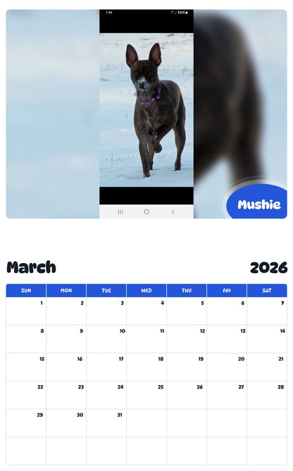 November 2025 - October 2026 Mushie - Pawidols Pet Calendar