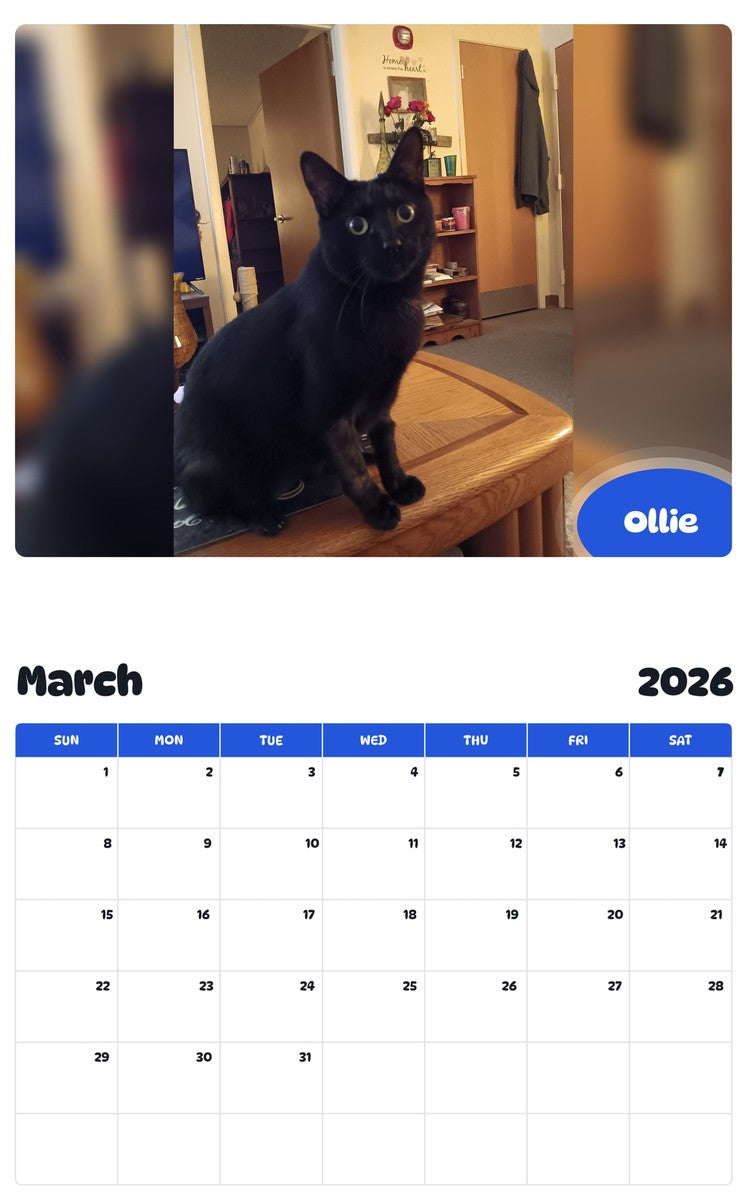 November 2025 - October 2026 Ollie - Pawidols Pet Calendar